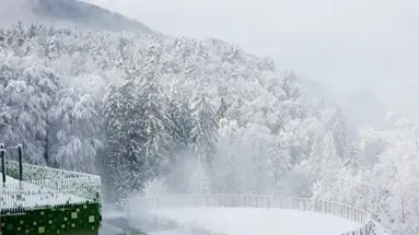 Zdraviliski Dvor