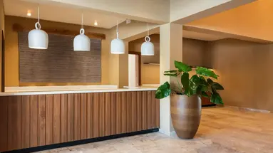 Zel Punta Cana
