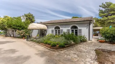 Zelena Punta