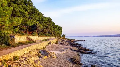 Zelena Punta