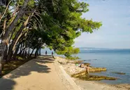Zelena Punta