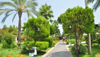 Zena Resort