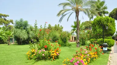 Zena Resort