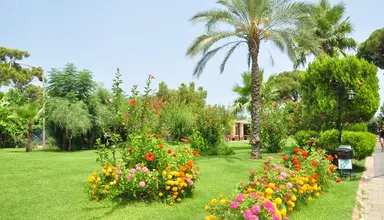 Zena Resort