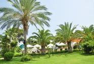 Zena Resort