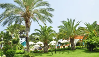 Zena Resort