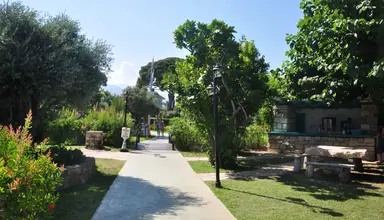 Zena Resort