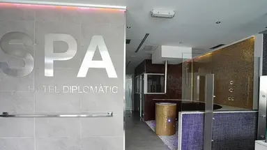 Zenit Diplomatic