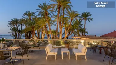 Zeus Palm Beach