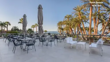 Zeus Palm Beach