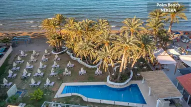 Zeus Palm Beach