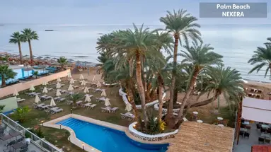 Zeus Palm Beach