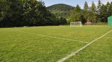 Zimnik