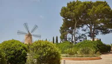 Zoetry Mallorca
