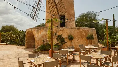 Zoetry Mallorca