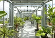 Zoku Amsterdam