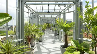Zoku Amsterdam