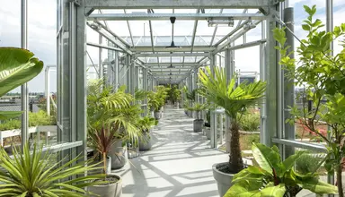 Zoku Amsterdam