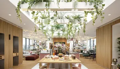 Zoku Vienna