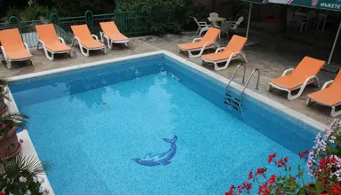 Zora