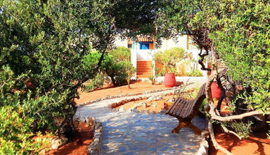Zorbas Beach Village