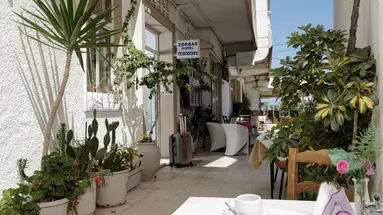 Zorbas (Hersonissos)