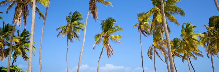 Zanzibar