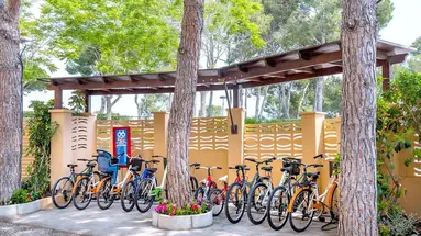 4R Playa Park