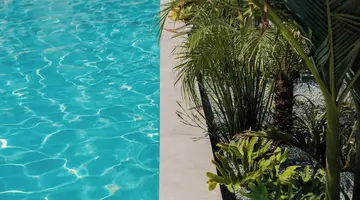 Abacus Suites