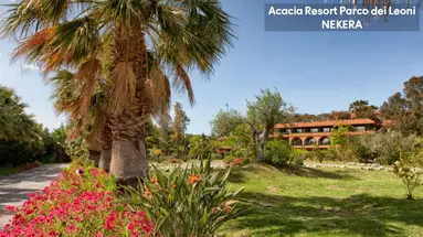 Acacia Resort