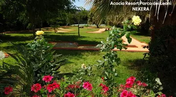 Acacia Resort