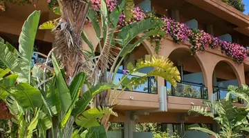 Acacia Resort