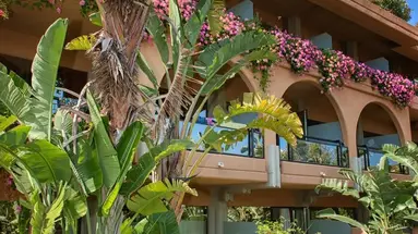 Acacia Resort
