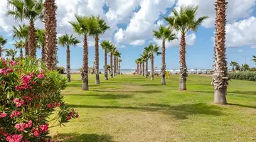 Acacia Resort