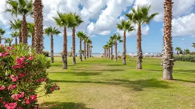 Acacia Resort