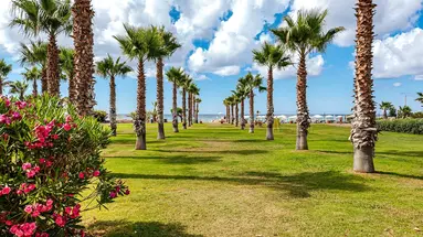 Acacia Resort
