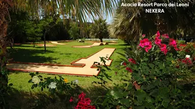 Acacia Resort