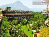 Acacia Resort