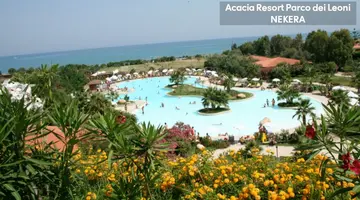 Acacia Resort