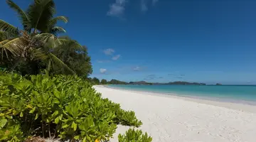 Acajou Beach Resort