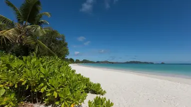 Acajou Beach Resort