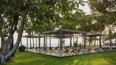 ACANTHUS CENNET BARUT COLECTION