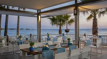 ACANTHUS CENNET BARUT COLECTION