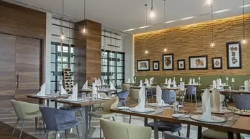 ACANTHUS CENNET BARUT COLECTION