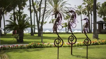 ACANTHUS CENNET BARUT COLECTION