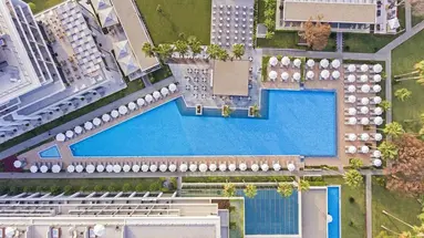 ACANTHUS CENNET BARUT COLECTION