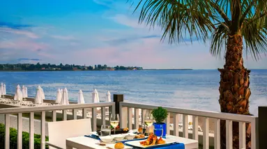 Acanthus Cennet Barut Collection