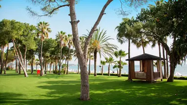 Acanthus Cennet Barut Collection