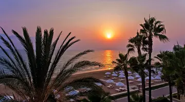 Acanthus Cennet Barut Collection
