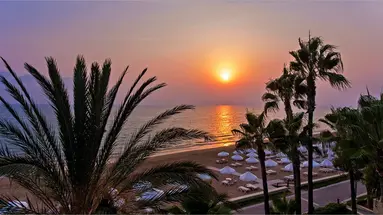 Acanthus Cennet Barut Collection